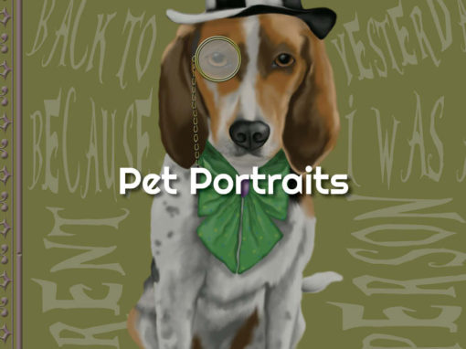 Pet Portraits